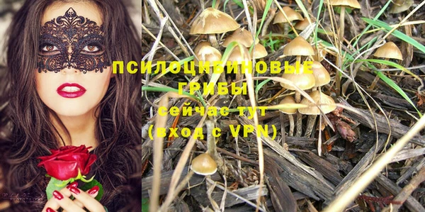 spice Армянск
