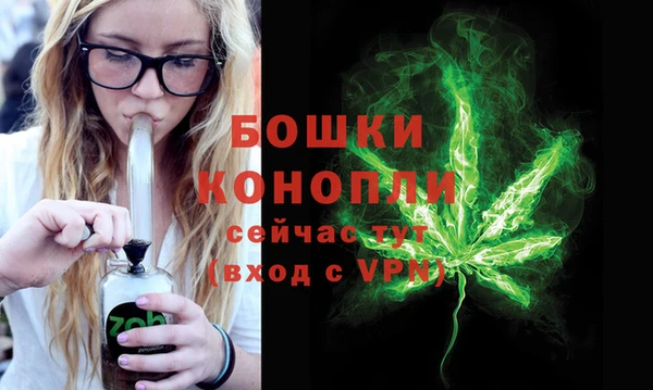 PSILOCYBIN Аркадак
