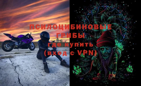 тгк Арсеньев