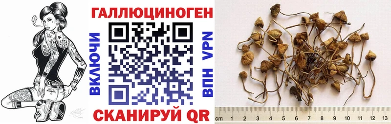 mega ТОР  как найти   Голицыно  Псилоцибиновые грибы прущие грибы 